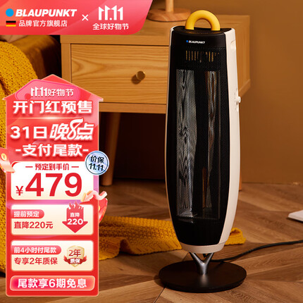 蓝宝（BLAUPUNKT） 取暖器暖风机取暖器广角供暖家用客厅卧室电暖器气速热电热风机扇 【取暖器H13-企鹅色】双面360°取暖/石墨烯