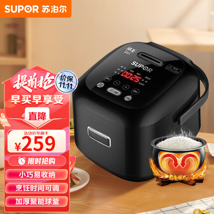 苏泊尔（SUPOR）电饭煲 2L 迷你智能电饭煲可预约定时 家用多功能球釜内胆电饭锅FXB20FC615-35