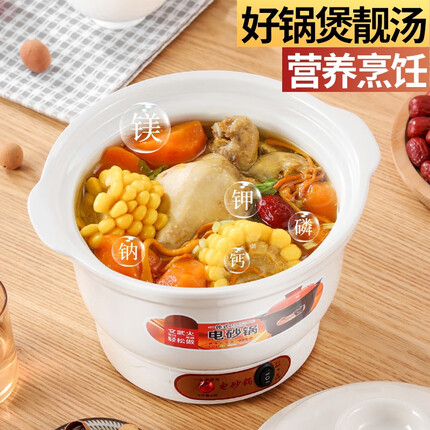 诺崔特家用电炖锅电炖砂锅煲汤炖煲电砂锅煮粥煲汤熬汤锅沙锅陶瓷汤锅砂锅炖锅大容量熬药陶瓷锅煮粥 白瓷【快炖电砂锅】3.0L