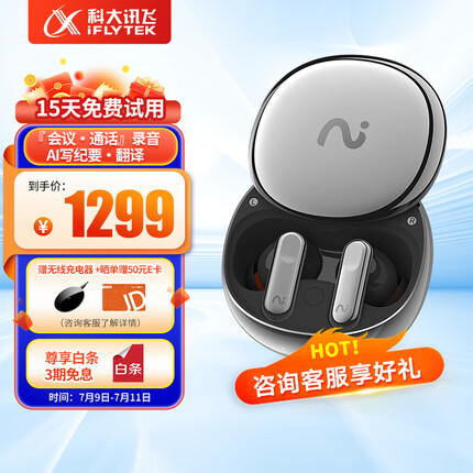 科大讯飞（iFLYTEK）录音降噪会议耳机Nano+ 无线蓝牙耳机 主动降噪 入耳式 超长续航 录音转文字 苹果华为通用
