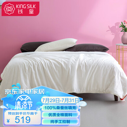 钱皇 100%桑蚕丝被子被芯 空调被 夏凉被 全棉面料薄被子 白露被重约4斤220*240cm