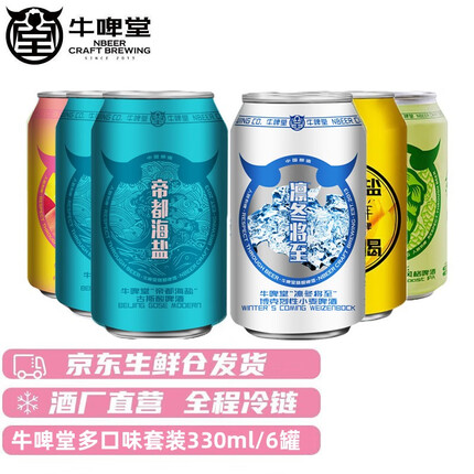 牛啤堂（NBeer）帝都海盐德式小麦IPA果啤全家福精酿啤酒组合330ml*6听 6听装