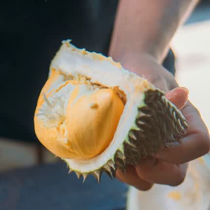 黑刺榴莲D200新鲜液氮冷冻 3.2-3.6斤 推荐中果