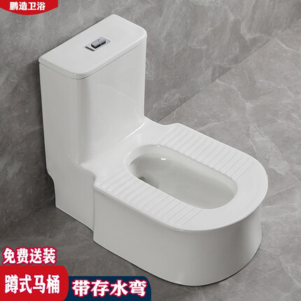 鹏造 坐便器马桶改换蹲式便器两用防臭蹲坑防冻裂家用蹲厕神器免挖墙 款式1不带喷头留言坑距