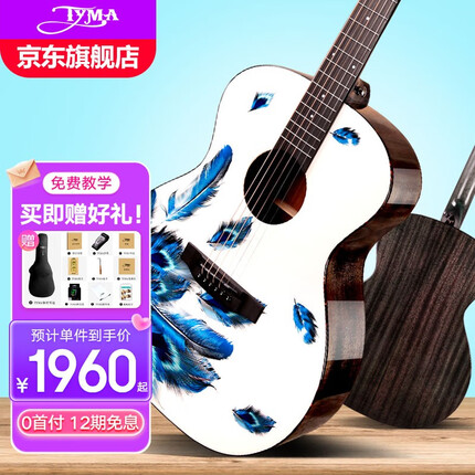 TYMA泰玛吉他单板吉他V3羽毛V3新视觉木吉他彩绘琴电箱吉他 V3-Plume 羽