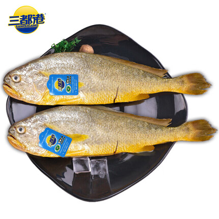 三都港 冷冻三去大黄鱼700g/2条装 黄花鱼 深海鱼 生鲜 鱼类 海鲜水产