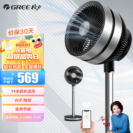 格力(GREE)【直流变频】360°摇头空气循环扇家用落地扇扇台式柔风电风扇轻音节能桌面小风扇 FSZ-20x60Bg3