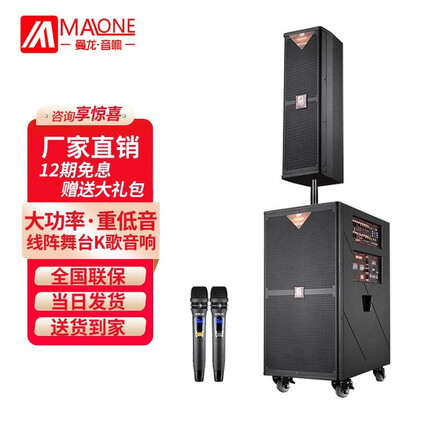 曼龙（MALONE）户外广场舞音响大功率线阵带声卡话筒蓝牙网红直播唱k歌舞台演出音箱 M-8812+2原装话筒+礼品 旗舰版