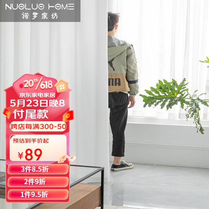 诺罗 纱帘北欧简约窗纱天丝绒白纱透光不透人阳台纱客厅飘窗遮光窗帘纱 白色天丝绒纱普通挂钩款 宽3米*高2.5米/1片