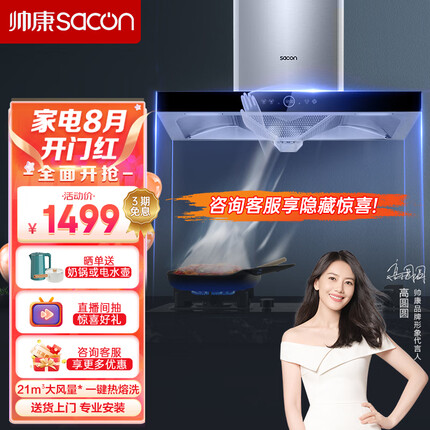 帅康（Sacon）抽油烟机 21大风量家用欧式吸油烟机挥手智控自动清洗T8088