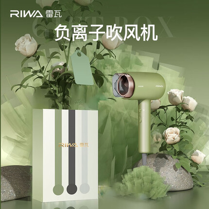 雷瓦（RIWA） 雷瓦RIWA 电吹风机恒温速干 牛油果绿电吹风RC-7858