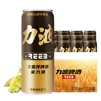 力波啤酒（Reeb）金力波 全麦芽啤酒 精酿啤酒 黄啤 330ml*24听整箱装