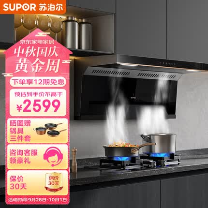 苏泊尔（SUPOR）抽油烟机 顶侧双吸油烟机灶具套装 24立方大吸力变频烟灶套装 家用油烟机燃气灶套装 DL35+DB28天