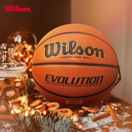 威尔胜（Wilson） 专业竞赛篮球6号7号室内官方比赛用球Evolution WTB0516IB07CN-7号球