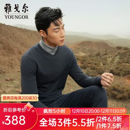雅戈尔（YOUNGOR）羊毛衫男V领羊毛驼绒混纺羊毛衫手感柔软蓬松保暖 灰色VYTR639997CVA 105cm