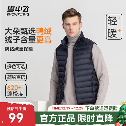 雪中飞马甲怎么样？雪中飞马甲多少钱一个？