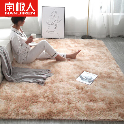 南极人家用地毯 客厅卧室地毯床边毯长绒沙发地毯茶几毯 70*160cm