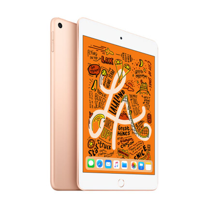 Apple iPad mini 5 2019年新款平板电脑 7.9英寸（64G WLAN版/A12芯片 MUQY2CH/A）金色
