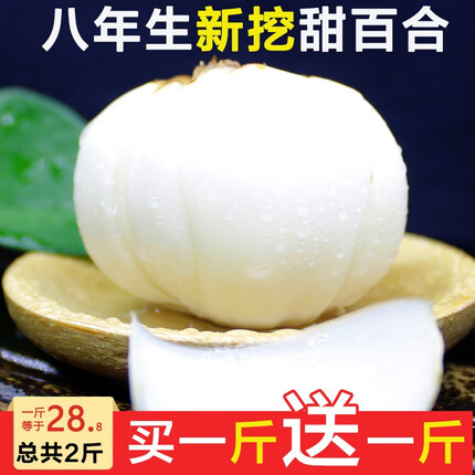 兰州百合多少钱一斤？兰州百合哪里买正宗？