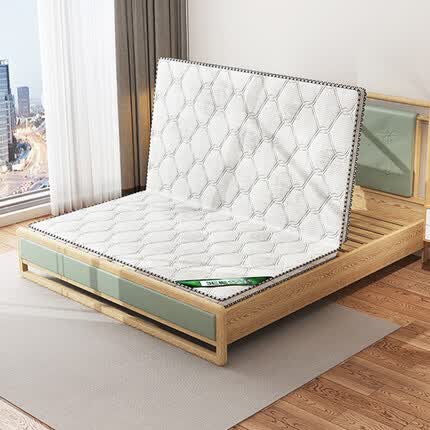 工来工往（GONGLAIGONGWANG） 椰棕床垫可折叠棕榈床垫棕垫学生床垫单人双人3E棕垫床垫薄 1.5*2m*0.03可折叠+有白毡