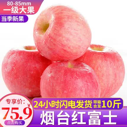 烟台苹果山东烟台苹果栖霞红富士 脆甜当季新鲜水果时令生鲜整箱 优选10斤 一级大果80-85mm