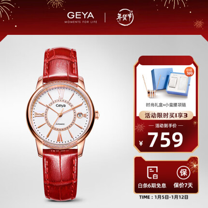 格雅(GEYA)手表女全自动机械表简约时尚镶钻红色真皮表带生日礼物女士手表送女友 JD78009