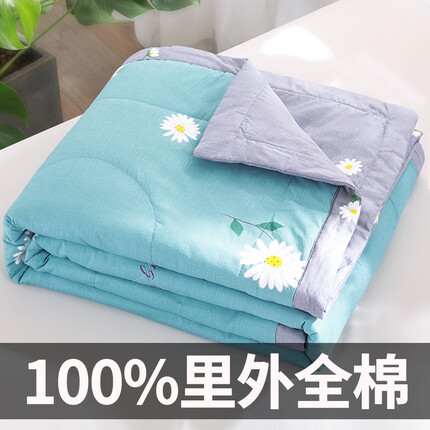 云瑾 里外全棉空调被 纯棉夏凉被薄被子单人棉被芯 小雏菊 150*200cm