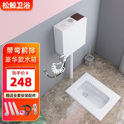 松鲸 陶瓷蹲便器套装带水箱套装厕所蹲坑便池防臭带存水弯卫生间家用 带弯【前排水】+豪华款水箱+喷枪