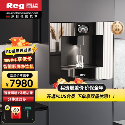 雷哲（Reg） V200PLUS嵌入式饮水机RO反渗透净水器家用即热式直饮机智能彩屏操作界面净饮一体机 V200PLUS带滤芯款