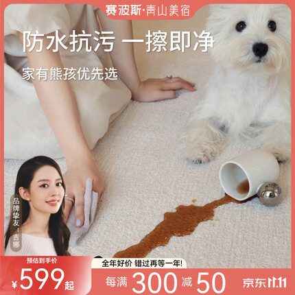 青山美宿【吉娜同款】防水抗污地毯轻奢高级感奶油风客厅卧室白月光地毯 白月光 2000MM*3000MM｜11月19日起发