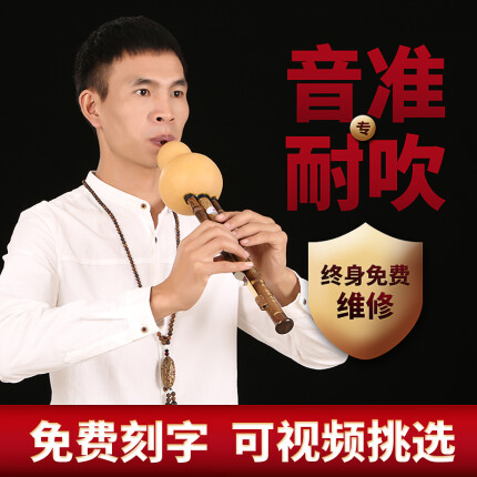 云南葫芦丝专业演奏型成人小学生乐器滇南古韵 专业款 降B调