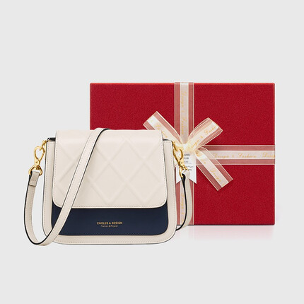 蔻一（Cnoles）包包女包轻奢侈百搭品单肩女士斜挎小方包七夕情人节礼物送女友 白配蓝-2023新时尚款送女生