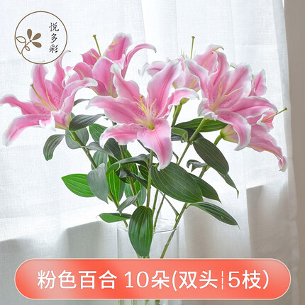 悦多彩AB级优质香水百合 家庭办公室各色生活鲜花 昆明基地 现采直发 粉色百合花10朵 ( 双头5枝)