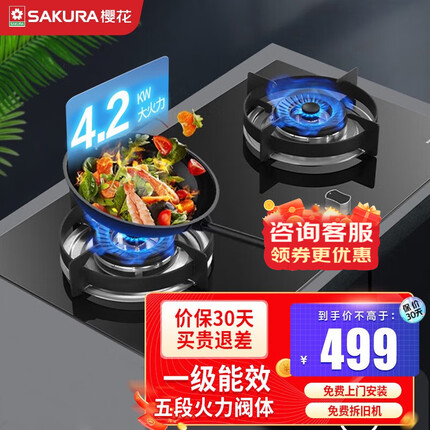 樱花(SAKURA) 燃气灶 台嵌两用 液化气天然气双灶钢化玻面板 煤气灶 高效直火灶 BGC1T天然气(4.2kw)