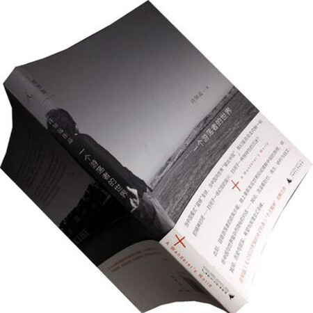 正版8成新一个游荡者的世界许知远散文杂文书籍库存书没有腰封