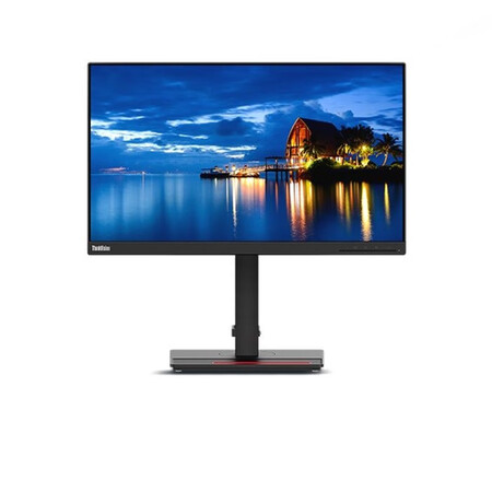 联想（Lenovo）ThinkVision P24i-2L 23.8英寸商用办公专业高清液晶显示器 升降旋转三年保修