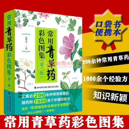 福建科技 医学类精选书籍 青草药知识大全 中草药鉴别教