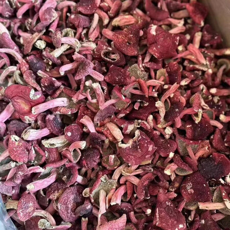 米囹广西红菇红菌500克