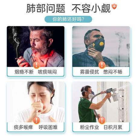 德国帕米奥Purmeo槲皮素胶囊 清咳嗽化养护净润痰肺部进口...