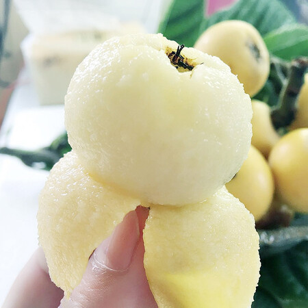 白玉枇杷苏州东山新鲜琵琶果京东生鲜水果 白玉枇杷5斤装(五月中旬