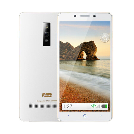 中兴（ZTE）乐心亲情手机 白色 移动4G (Q2S-T)