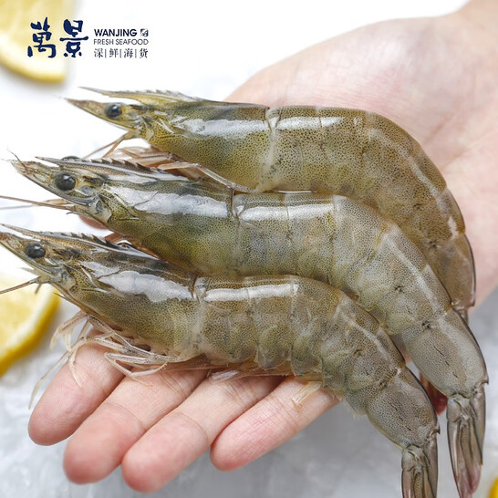 万景 北海鲜冻白虾(大号) 100-120只/净重4斤 新低79元包邮 值值值-买手聚集的地方