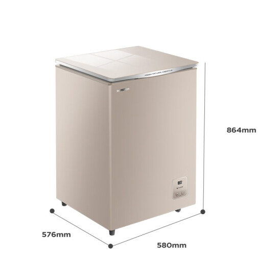 容声（Ronshen）100升小型冰柜家用冷藏冷冻转换单温冷柜专利减霜80%母婴母乳小冰箱BD/BC-100MGSY