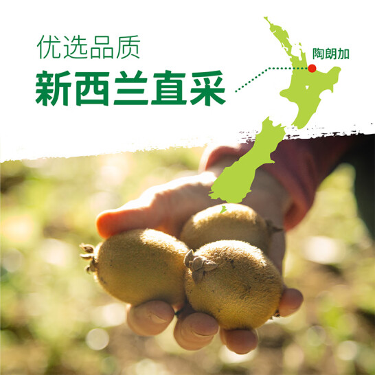 Zespri 佳沛 阳光金奇异果 8枚特大果礼盒*2件（单果120g-145g）