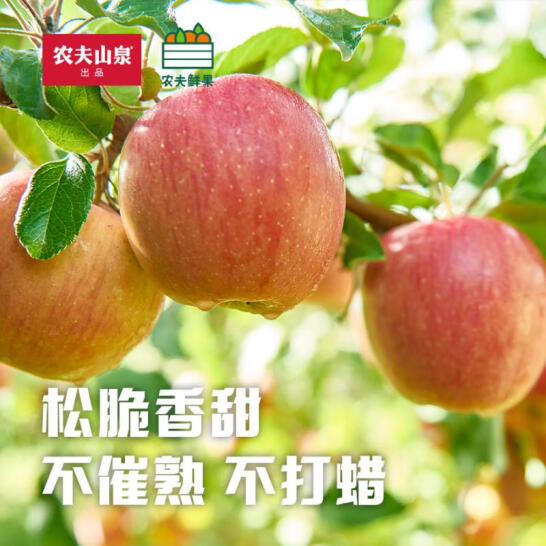 农夫山泉 阿克苏苹果礼盒（75-79mm）15个装/净重2.8kg *3件