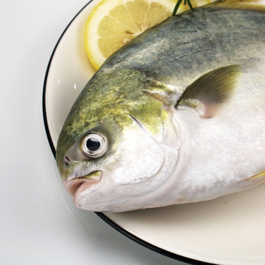 BAP认证，环球水产 国产金鲳鱼700g（2条）*3件 送国产生虾仁 净重150g