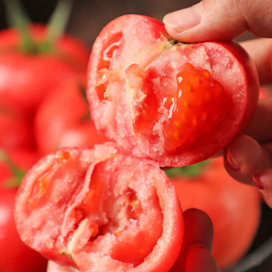 北京奥运会食材供应商，鲁道鲜 普罗旺斯西红柿番茄 5斤