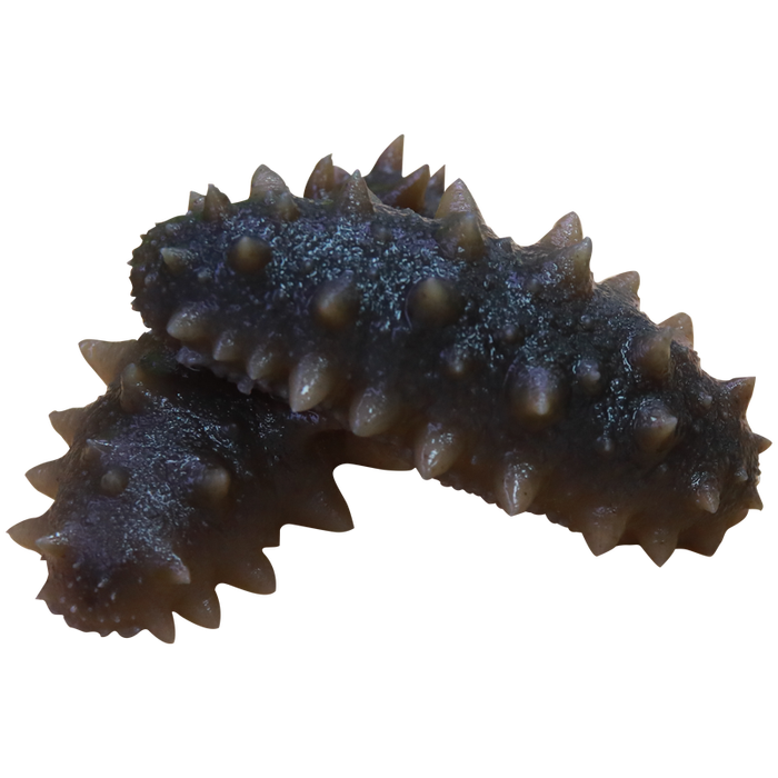 即食海参排名前十品牌大揭秘这10款营养高口感佳,速来围观-图片1