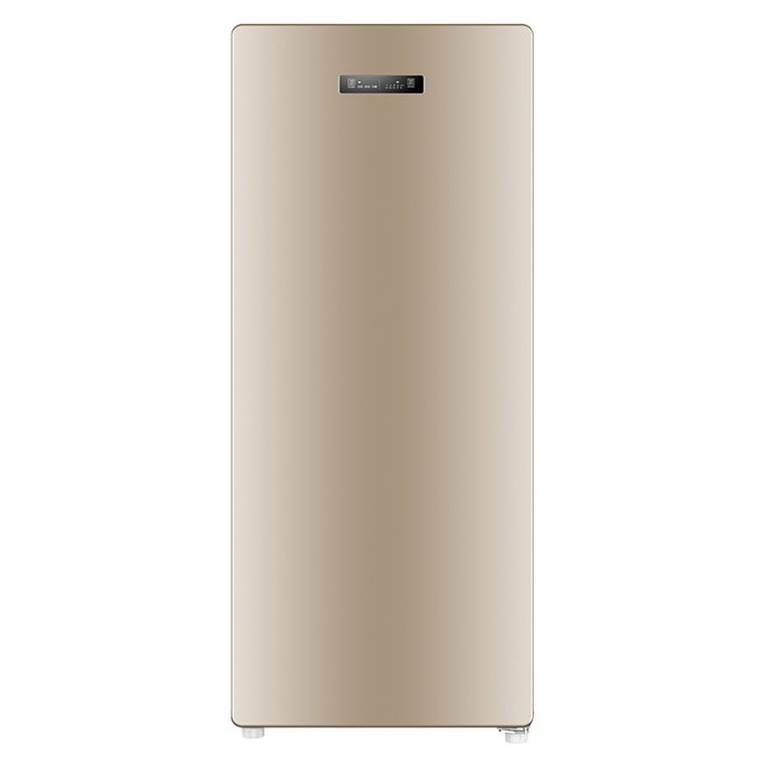 2026年立式冰柜十大品牌排行榜揭晓：这10款节能大容量，超实用