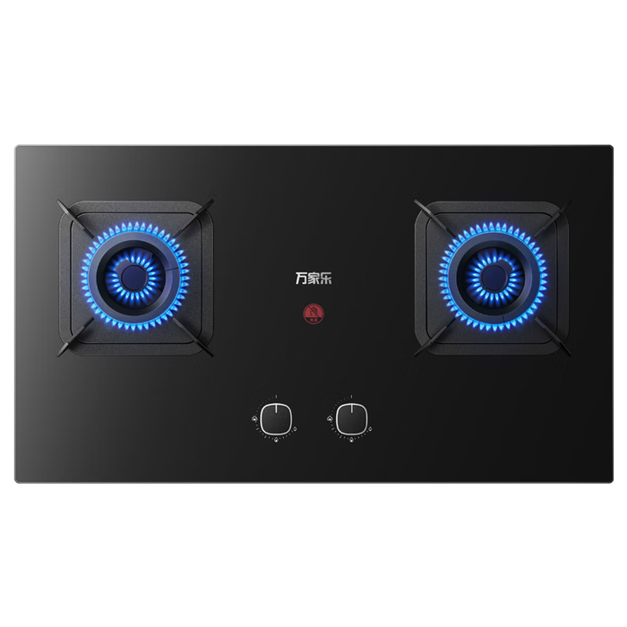 2025年煤气炉怎么选？实测这5款火力稳又省气，厨房小白也不踩坑